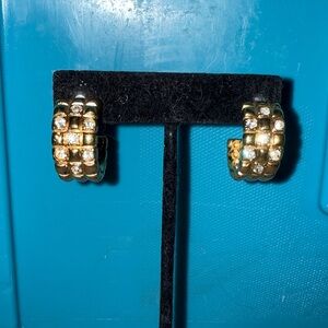 Elegant Gold Hoop Earrings